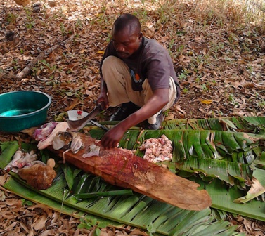 A church deacon slaughtered, and is preparing meat for lunch. Donation came from Pastor Oyako
